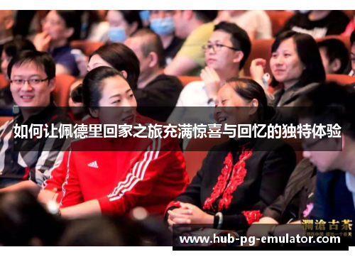 如何让佩德里回家之旅充满惊喜与回忆的独特体验