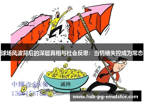 球场风波背后的深层真相与社会反思：当情绪失控成为常态