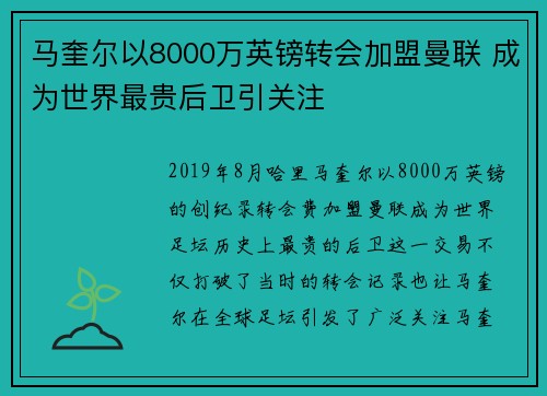 马奎尔以8000万英镑转会加盟曼联 成为世界最贵后卫引关注 马奎尔以8000万英镑转会加盟曼联 成为世界最贵后卫引关注